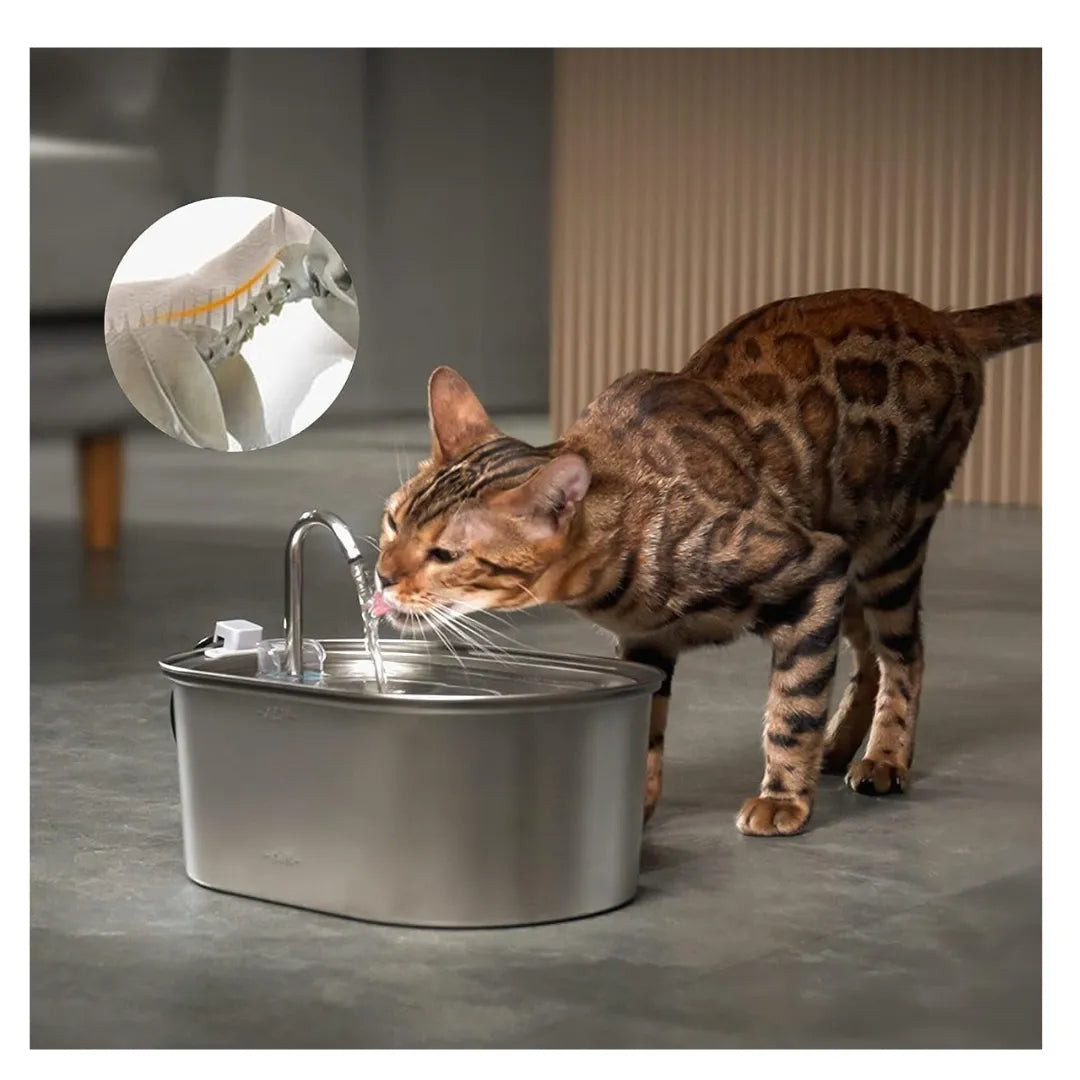 Natqua | AquaPet Smart – Fontaine à eau intelligente de 3,2 L pour chats et chiens